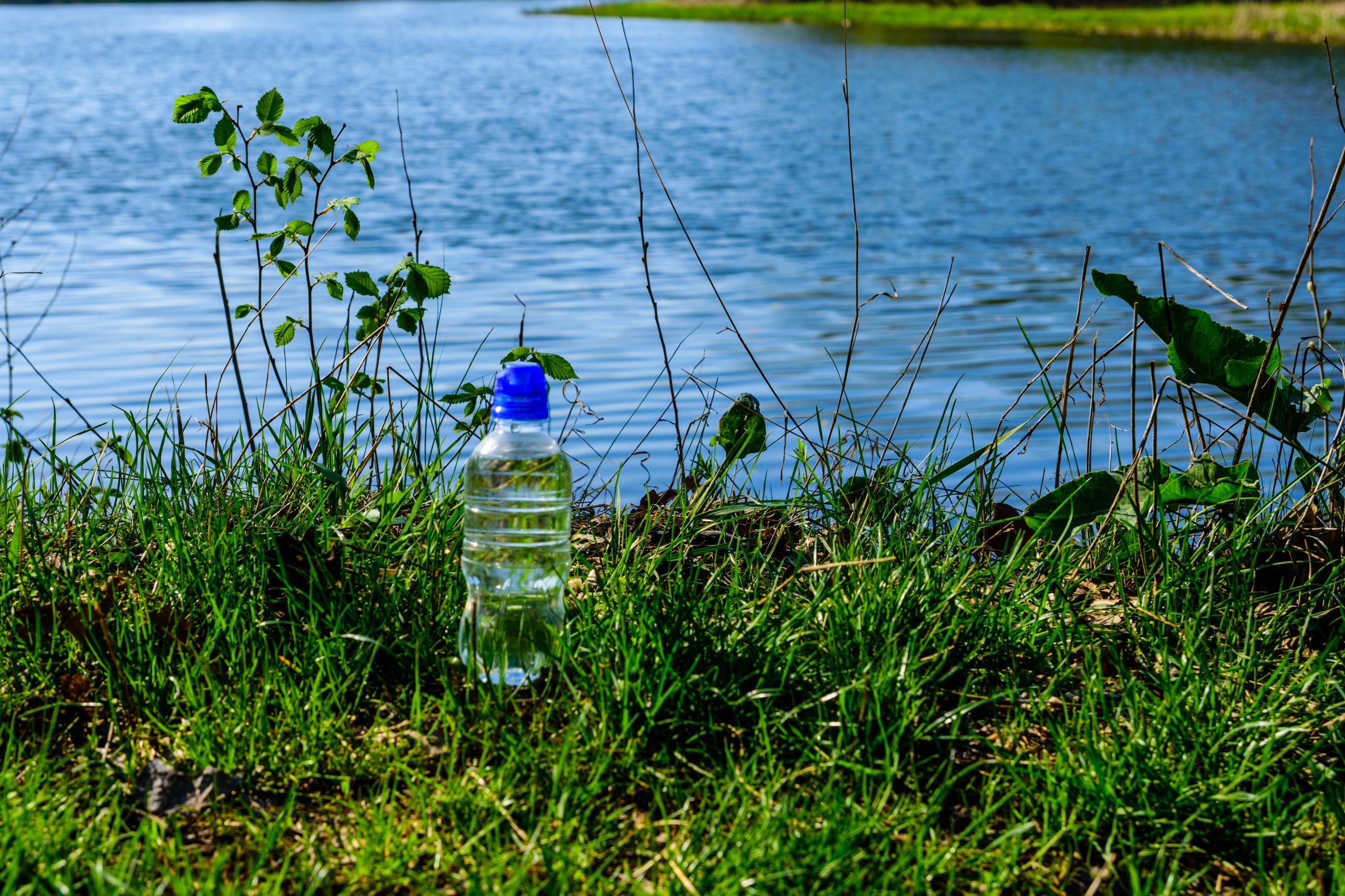 Bouteille en plastique propre posée sur une berge et comportant peut-être des PFAS