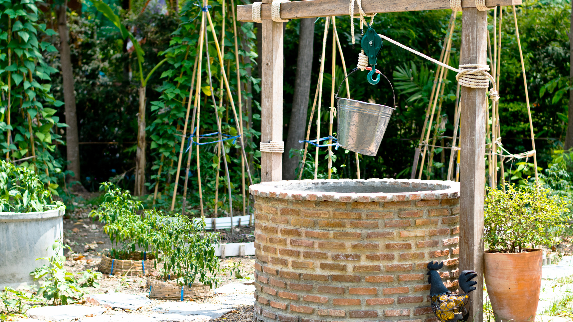 Puits à partir duquel est puisée l'eau de source