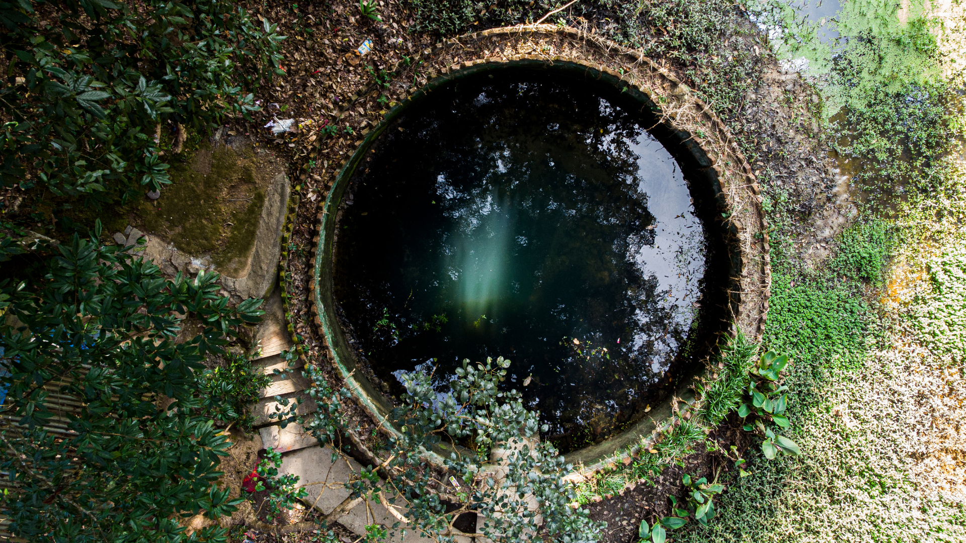 Eau Forage